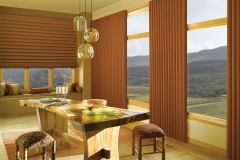panel-drapes-blinds1