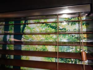 Euro Headrail on Norman Blinds